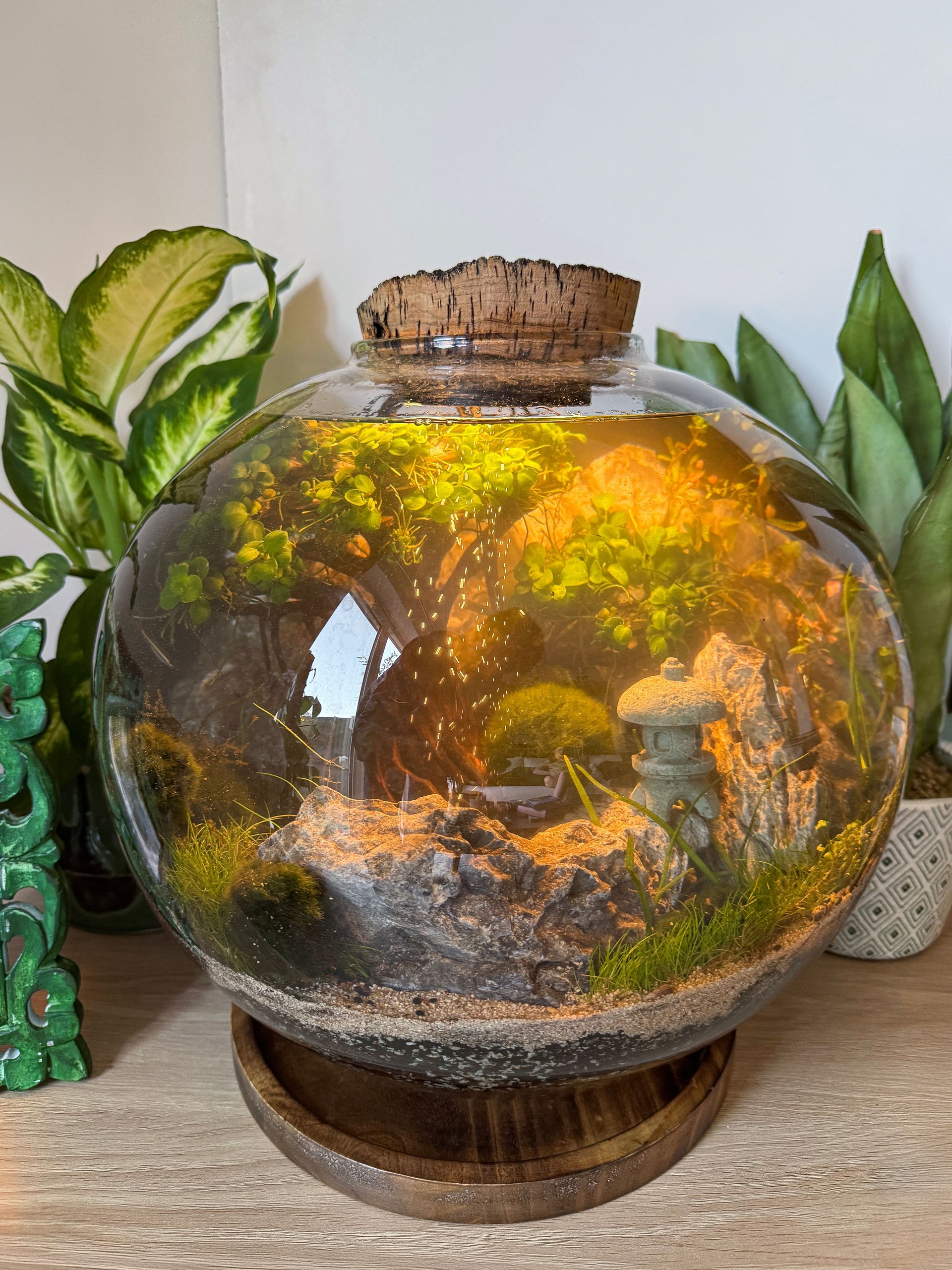 Close-up image of Japanese-style underwater glass bottle garden with cork lid, red cherry shrimp (Neocaridina davidi), Marimo (green algae (Aegagropila linnaei) balls), aquatic plants Anubias, model stone lantern, rocks and soil substrate